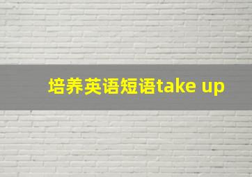 培养英语短语take up